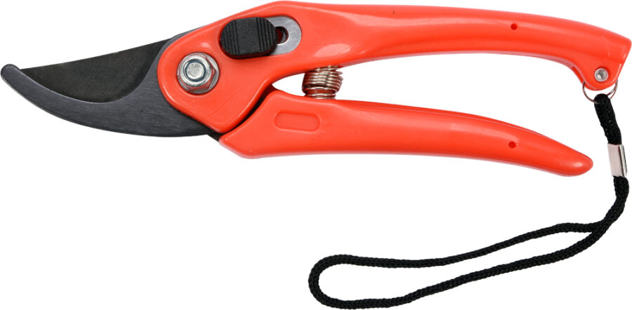 Pruner 50 mm (99193) - 99193 salidzini kurpirkt cenas