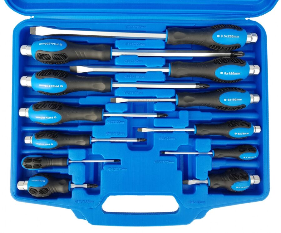 Screwdriver set | 12 pcs. (SK5013) - SK5013 salidzini kurpirkt cenas