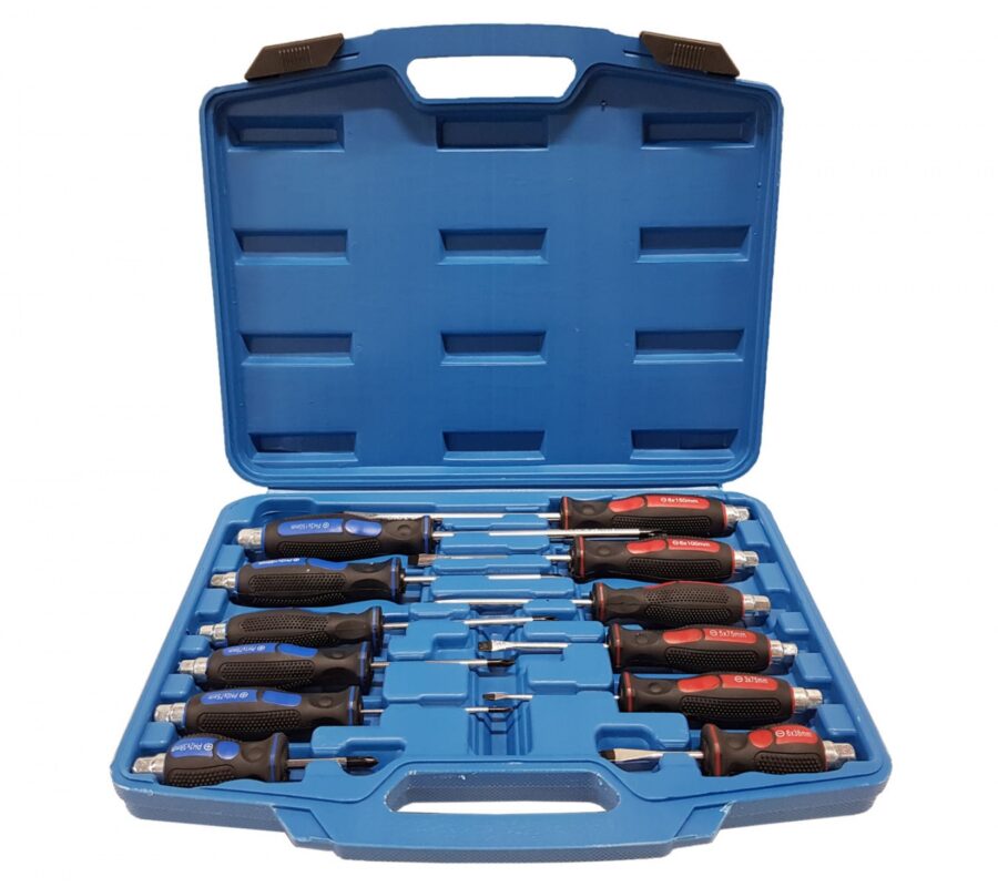 Screwdriver set | 12 pcs. (SK5013-B) - SK5013-B salidzini kurpirkt cenas