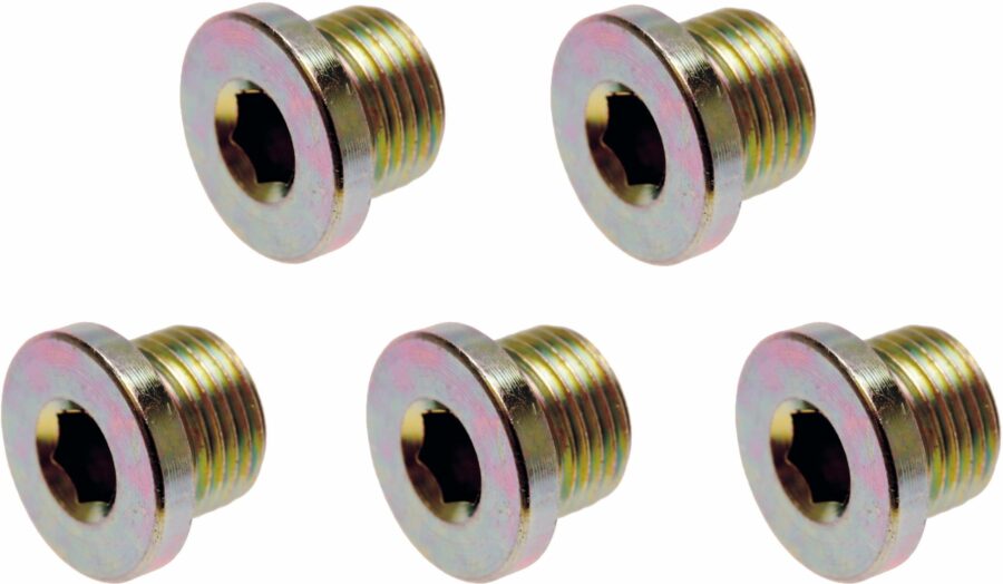 Oil Drain Plug | for BGS 126 | M20 x 1.5 mm | 5 pcs. (126-SM20) - 126-SM20 salidzini kurpirkt cenas