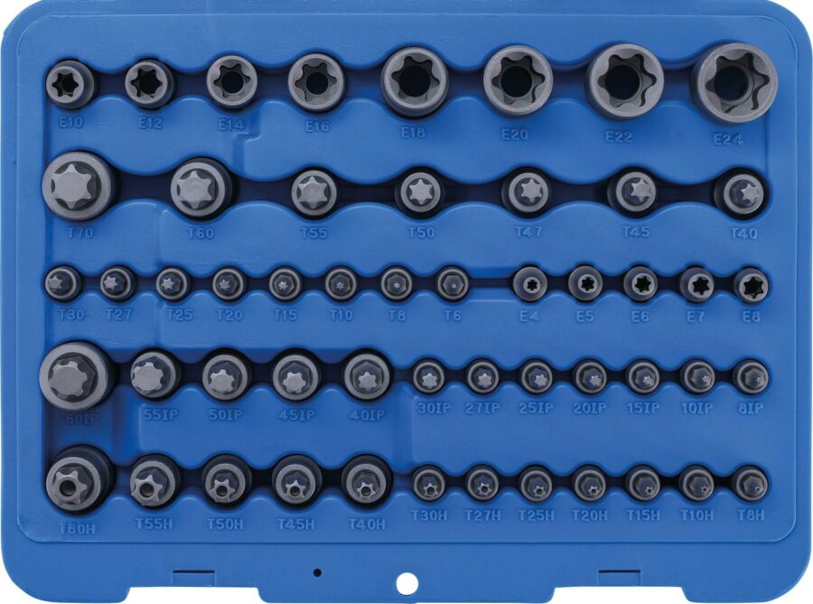 Bit Socket and Socket Set | E-Type / T-Star (for Torx) / T-Star tamperproof (for Torx) / TP-Star (for Torx Plus) | 52 pcs. (9839) - 9839 salidzini kurpirkt cenas