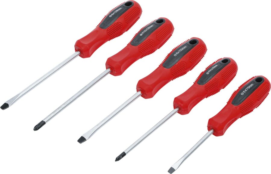 Screwdriver Set | Slot SL / Cross Slot | 5 pcs. (35835) - 35835 salidzini kurpirkt cenas