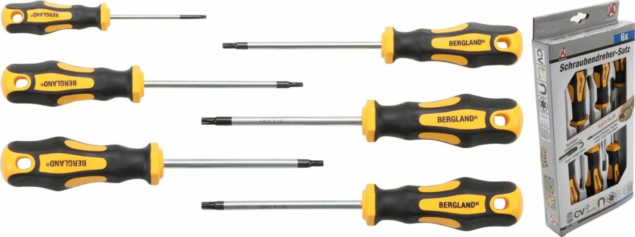 Screwdriver Set | T-Star (for Torx) T10-T30 | 6 pcs. (35826) - 35826 salidzini kurpirkt cenas