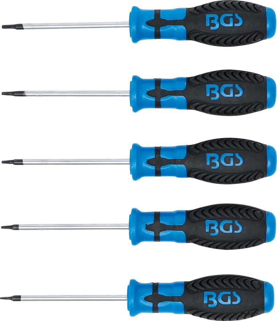 Screwdriver Set | T-Star (for Torx) T6 - T10 | 5 pcs. (6828) - 6828 salidzini kurpirkt cenas