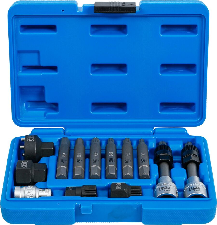 Alternator Bit Set | 12.5 mm (1/2") drive | 12 pcs. (4246) - 4246 salidzini kurpirkt cenas