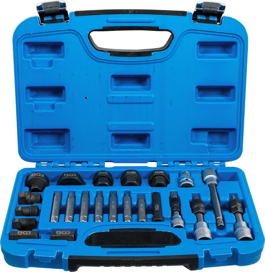 Alternator Bit and Socket Set | 22 pcs. (4247) - 4247 salidzini kurpirkt cenas