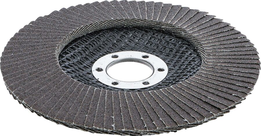 Flap Disc | Ø 125 mm | K 120 (3977) - 3977 salidzini kurpirkt cenas