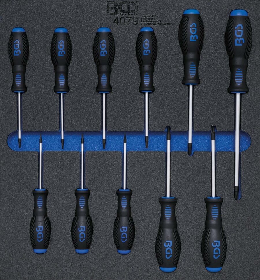 Tool Tray 2/3: Screwdriver Set | T-Star (for Torx) T6 - T40 | 11 pcs. (4079) - 4079 salidzini kurpirkt cenas